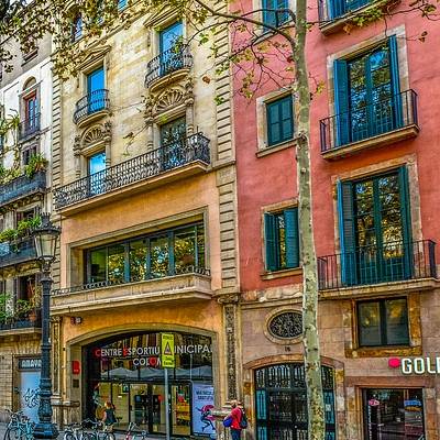 Verovian Recruitment locum agency A vibrant street in Barcelona lined with colorful buildings and tree-filled surroundings, perfect for a locum veterinary professional looking to relocate through a trusted recruitment agency.