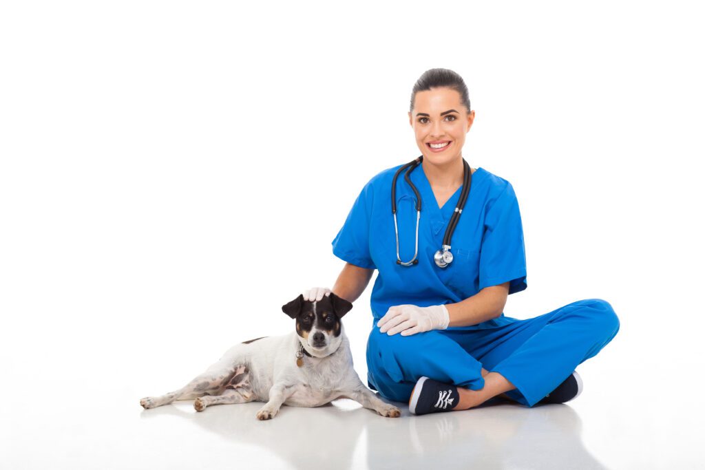 Vet Nurse