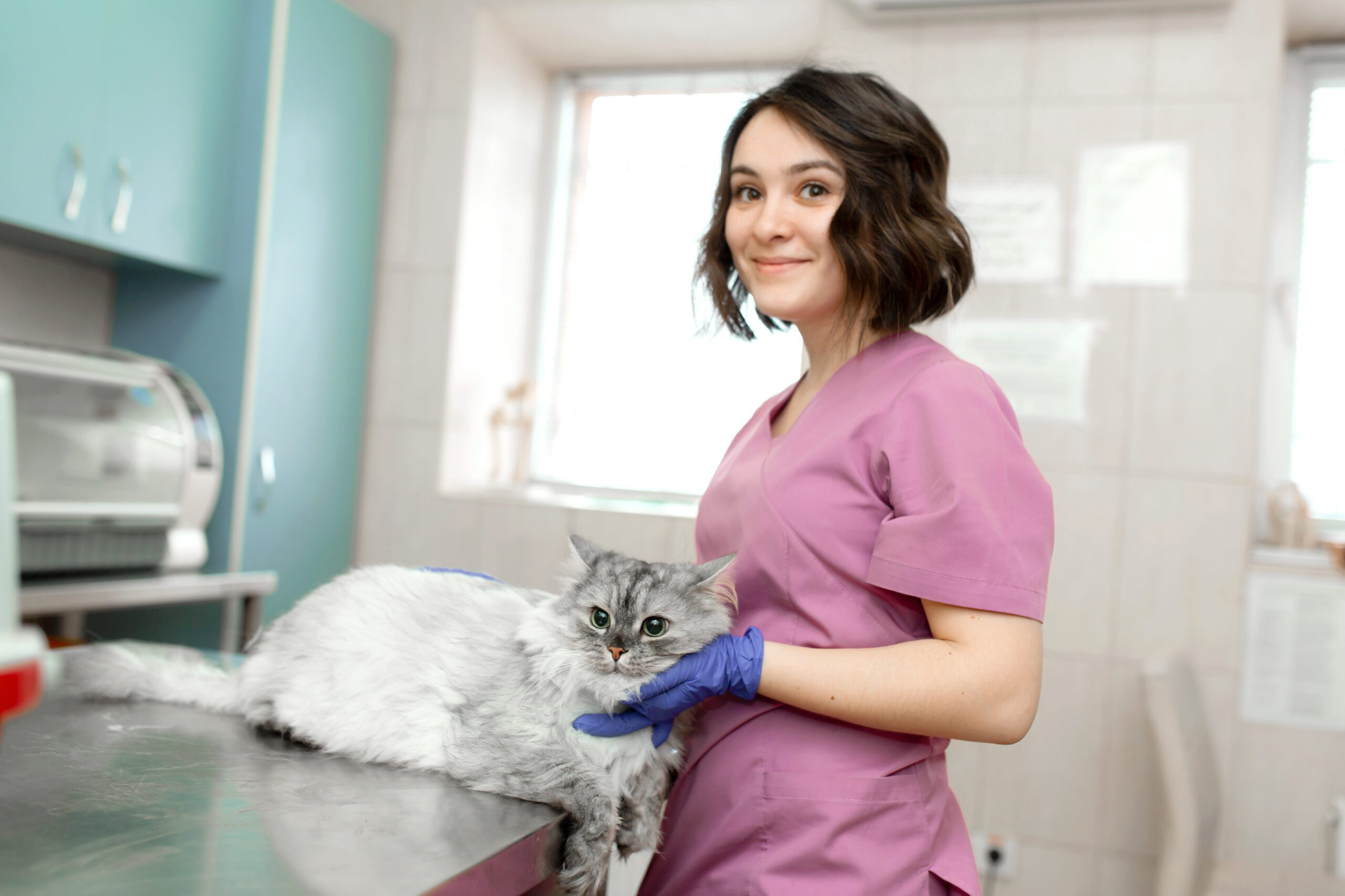 Verovian A veterinary surgeon holds a cat in their office.