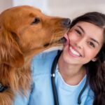 Technology in Veterinary Practice: How Digital Tools Are Transforming Pet Care