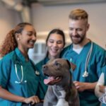 Building Great Workplaces: Practical Tips for Veterinary Teams