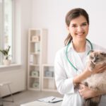 Working in Singapore: A Guide for UK Veterinary Professionals