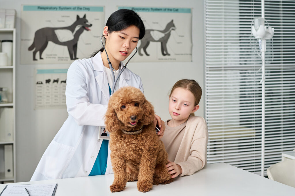 A veterinarian examines a brown poodle on a table while a young girl looks on in a clinic, highlighting the rewarding nature of veterinary jobs UK and opportunities for any Overseas-Qualified Vet working in the UK.