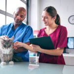 Advanced Veterinary Nursing: How to Become an Expert RVN in the UK