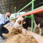 How Rural Practice Challenges Are Reshaping Veterinary Hiring in the UK